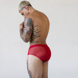 Sheer Fly Front Brief Rowan Red