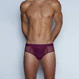 Sheer Fly Front Brief Perrie Purple