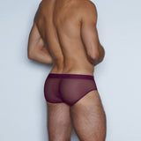 Sheer Fly Front Brief Perrie Purple