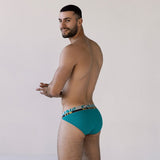 C-Theory Dash Brief Timothy Teal